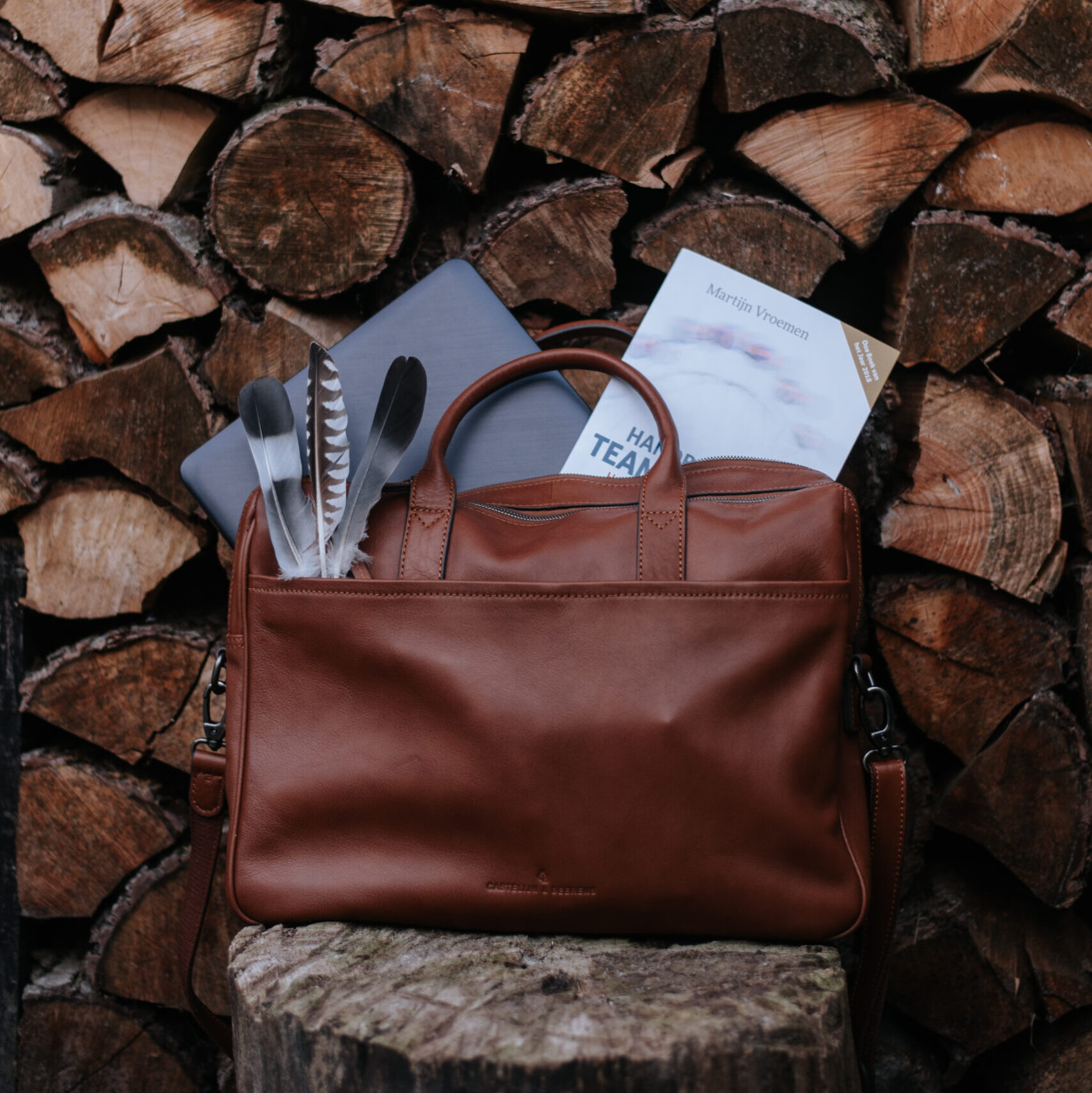 Hoogbegaafdheid Buro-Blom